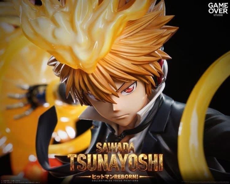 Game Over Studio - Tsunayoshi Sawada Katekyo Hitman Reborn 5