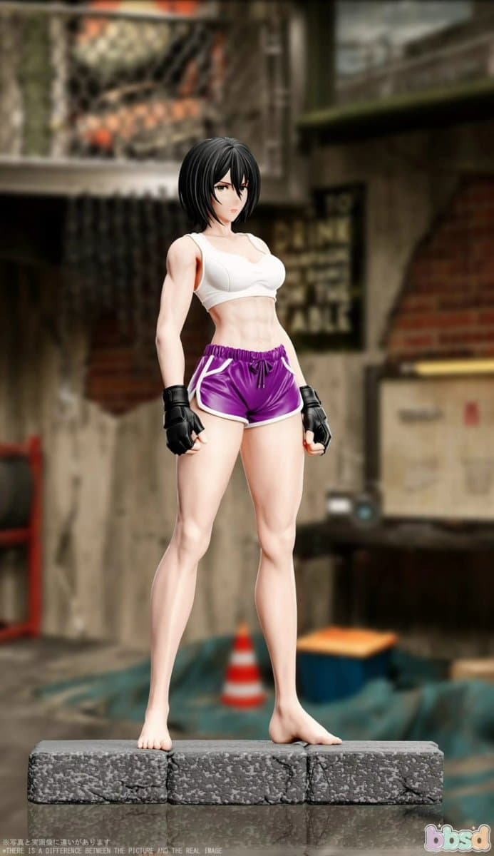 BBSD Studio 1/6 Attack on Titan Mikasa Ackerman Training Boxing Ver. 5