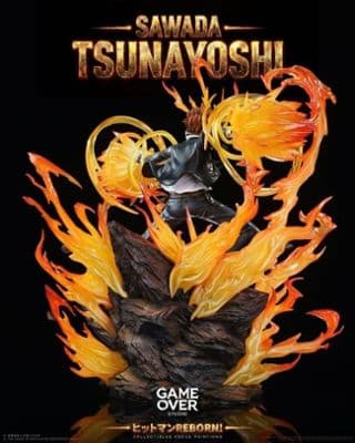 Game Over Studio - Tsunayoshi Sawada Katekyo Hitman Reborn миниатюра 2