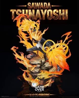 Game Over Studio - Tsunayoshi Sawada Katekyo Hitman Reborn миниатюра 3