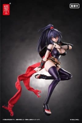 RPGEX-10 Kunoichi Reppuu 1/12 Complete Model Action Figure миниатюра 4