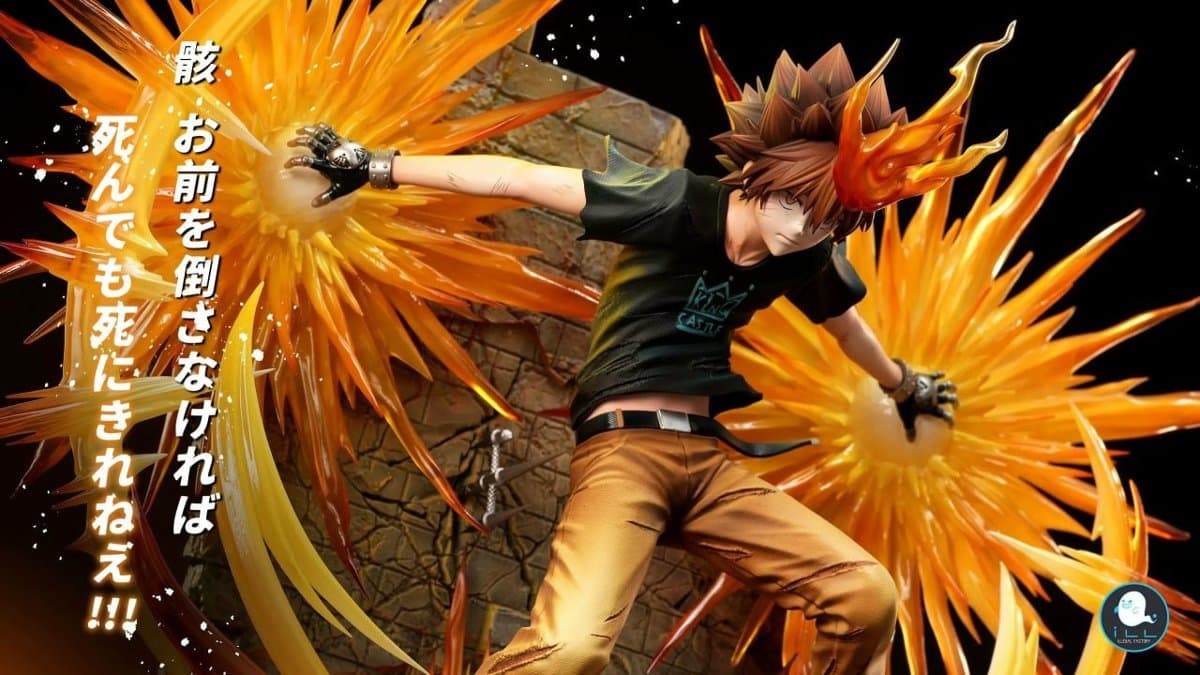 ILLegal Factory Studio - Character Guide Tsunayoshi Sawada Katekyo Hitman Reborn 3