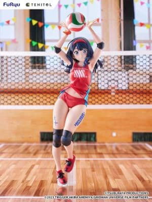 Gridman Universe - Shinjou Akane - Tenitol - Tenitol Tall - Sports Wear Ver. и Gridman Universe - Takarada Rikka - Tenitol - Tenitol Tall - Sports Wear Ver. миниатюра 2